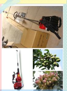 Good Quality Olive Harvesting Machine
