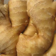 Chinese fresh ginger in good condition