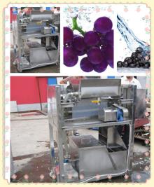 Stainless Steel Fruit Cleaning Machine