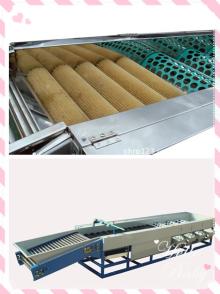 Good Quality Fruit and Vegetable Washing and Grading Machine