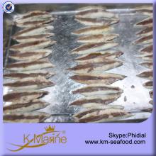 New Coming Frozen Mackerel Fillet
