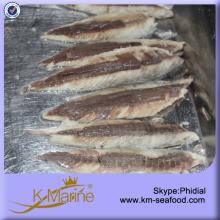 China  Frozen   Mackerel  Fillet with Competitive Price