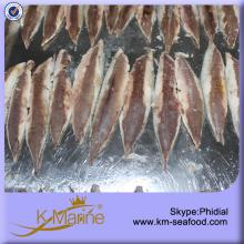 Halal Approved Fresh Pacific Mackerel Fillet