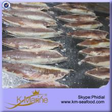 Nutritional Pacific Mackerel Fillet