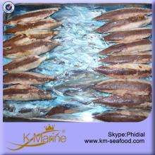 Delicious Mackerel Fish Fillet