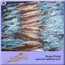 Hot Sale Mackerel Fish Fillet