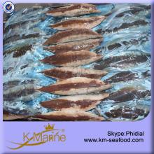 New Stock Frozen Fish Fillet