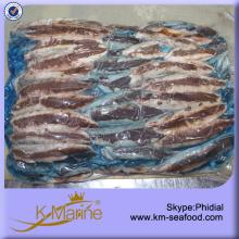 Pacific Fish Mackerel Fillet