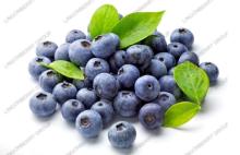 Blueberry fruit  enzyme  powder,100%  bio -fermentation