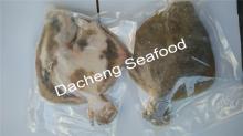 Southern  Flounder  (Turbot)