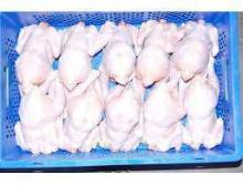 Frozen halal whole chicken
