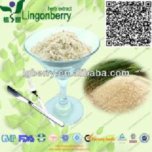 Rice Protein powder