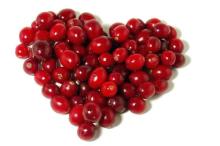  Cranberry   extract 