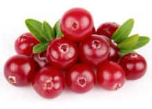 Cranberry Anthocyanin