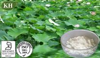 Lotus leaf Extract  Nuciferine  1%-98% by HPLC