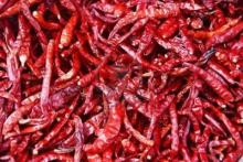  Dry   red   chilli es