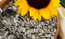 Sunflower Seed, Sesame Seed