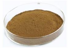 Black  Cohosh   Extract 