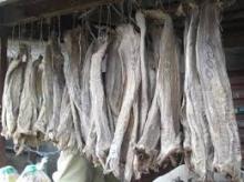 Quality Frozen Horse Mackerel and Sardine Fish for Export in Stock For Sale