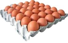 Fresh  Chicken  Eggs,  Chicken  Eggs  Export ers,  Chicken  Eggs Supplier
