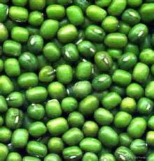 green mung beans