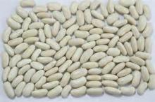 white kidney beans