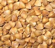  buckwheat   kernel s