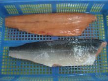 Frozen Pink Salmon Fillet IQF