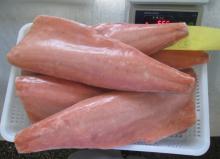 Frozen Chum Salmon  Fillet   IQF 