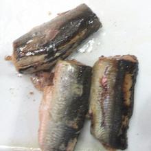 Canned Sardines in Oil OEM