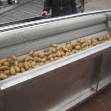  Brush  Potato Washing and Peeling  Machine 