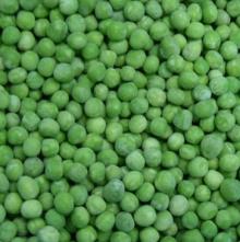  Frozen   Green  Pea