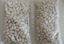  Blanched   Peanut   Kernel s /professional supplier /peeled