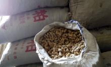 Chinese Raw Peanut  Inshell  with High Quality and Competitive Price