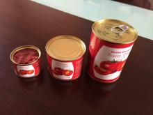 canned tomato paste,ketchup,tomato puree 70g 210g 400g 2200g