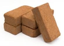 COCO PEATS FOR GROWING PLANTS