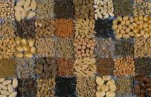 Sell Offer Flax  Seed s,  Cumin   Seed s, Cotton  Seed s 50% Discount