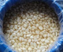 garlic cloves in brine