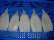 Frozen Squid Tube