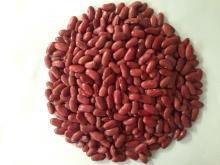 High Quality Red Kidney Bean for Export with Best Price