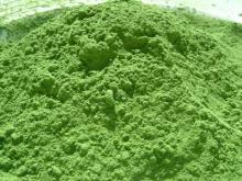 Barley  grass   powder 