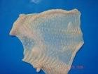 Frozen Chicken Skin