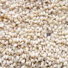 NATURAL WHITE SESAME SEED