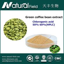 Loss weight supplement Green  coffee   bean   extract  Chlorogenic acid 10%-70% (HPLC)