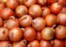 Fresh Onions for sell