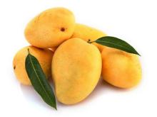 Mango from vietnam