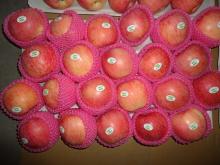  Fresh   apple 