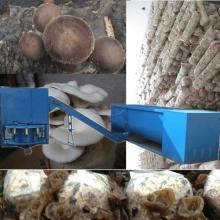 Oyster mushroom cultivation machine for sell