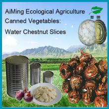 Canned Water Chestnut slices in can packing