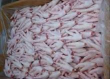 Frozen chicken feet and paws
